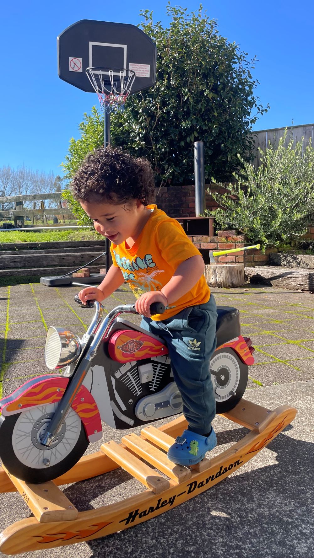 Harley Davidson Rocking Horse (donated)
