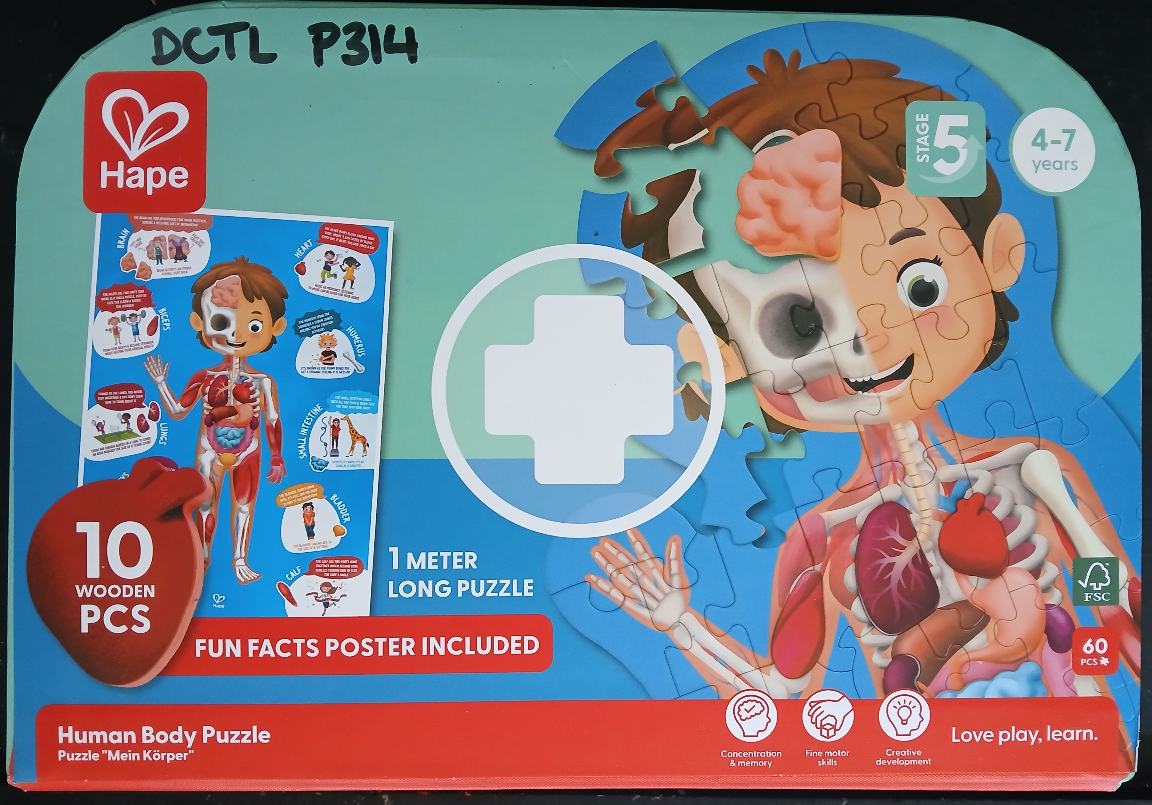 Hape Human Body Puzzle